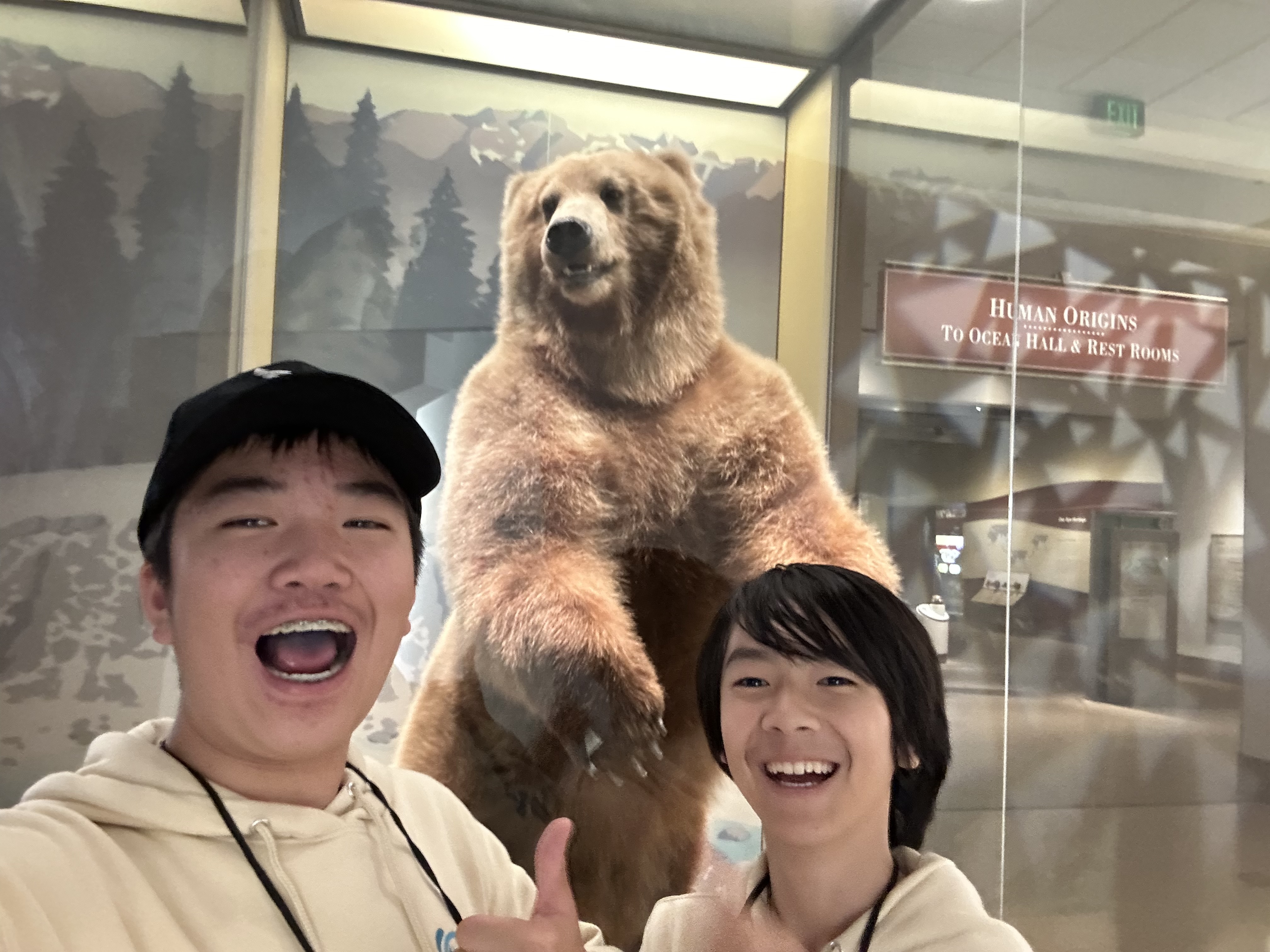 friends with bear