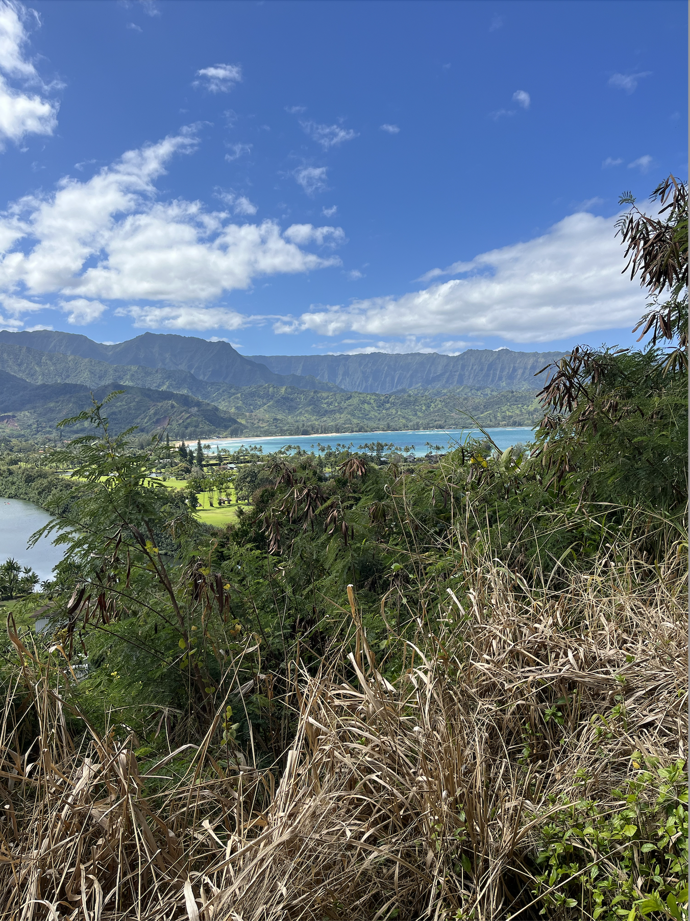 Photo of Kauai's Hanalei Bay